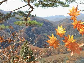 在哪里能购买打胎药打胎药流多少天可以流完（打胎药多久流下来）